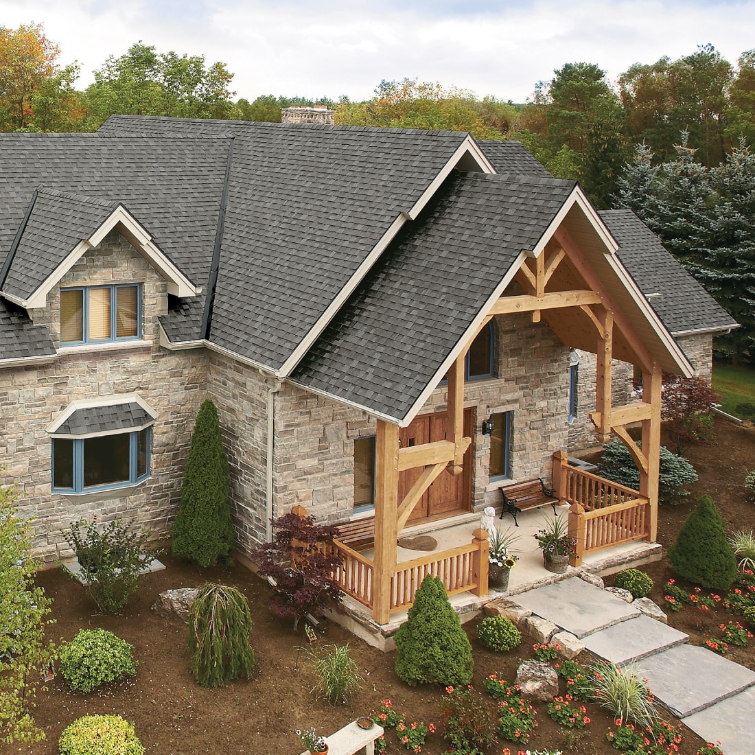 Dynasty<sup>®</sup> Cool Colors<sup>™</sup> Plus