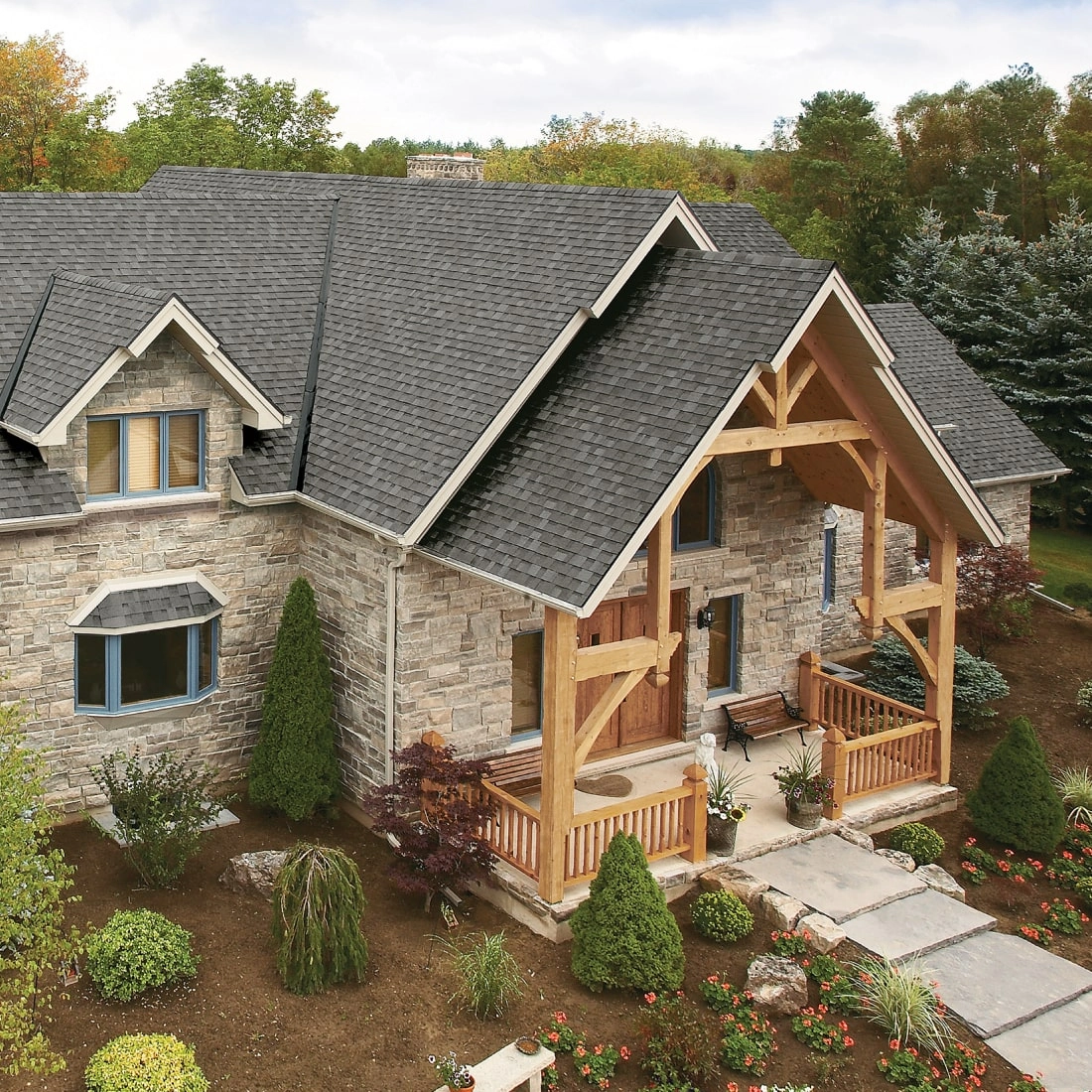 Dynasty<sup>®</sup> Cool Colors<sup>™</sup> Plus